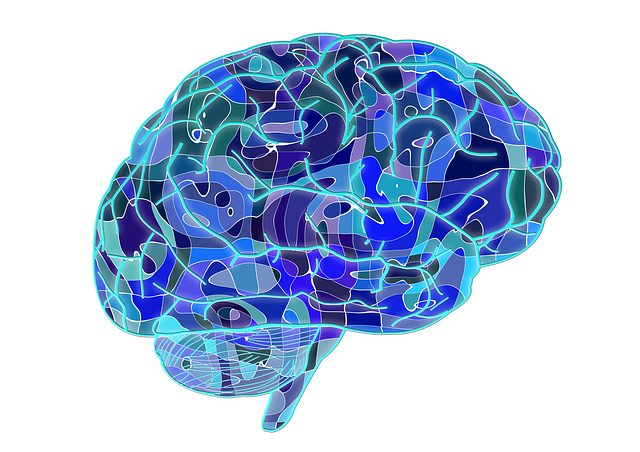 la mejor vitamina para el cerebro