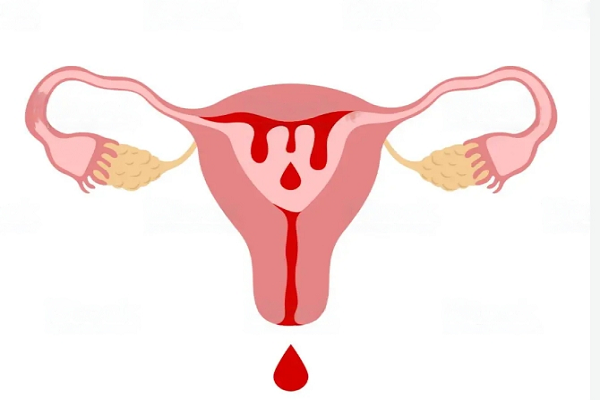 periodo de la mujer