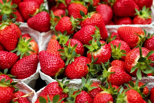 fresas para reducir los triglicéridos