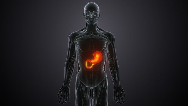 la importancia de un hígado sano