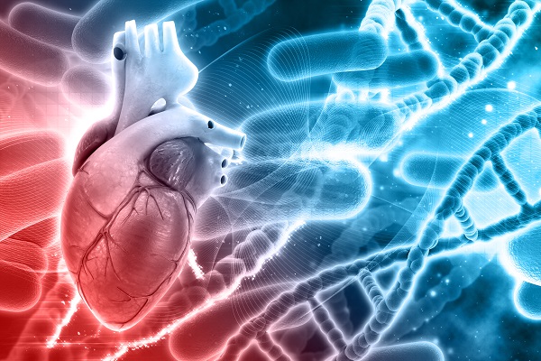 Prevención de enfermedades cardiovasculares