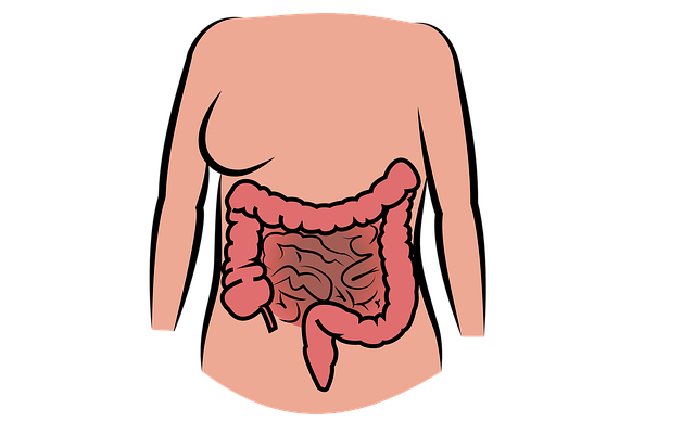 Cómo mejorar la salud intestinal